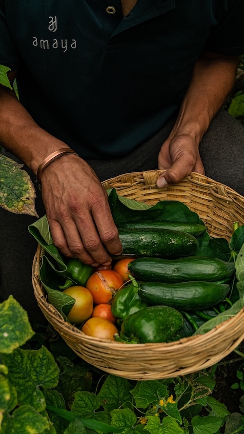 local foraging